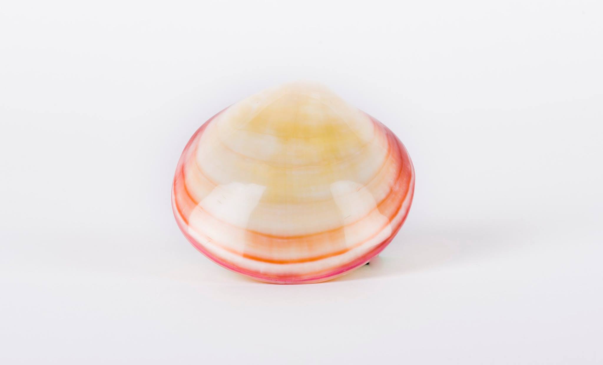 COQUILLAGE AUTO CHAUFFANT