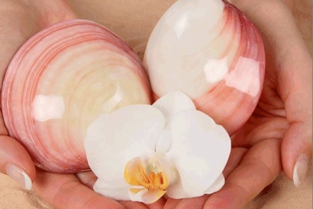 Formation massage baby coquillages visage corps